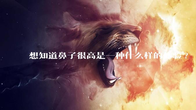 想知道鼻子很高是一种什么样的体验?